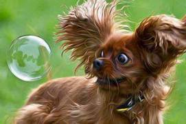 astonished doggy - balloon