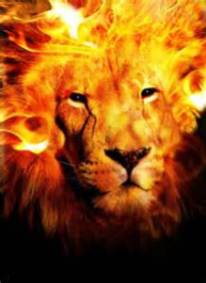 Lion portrait on fire